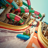Yas Island Abu Dhabi, , small